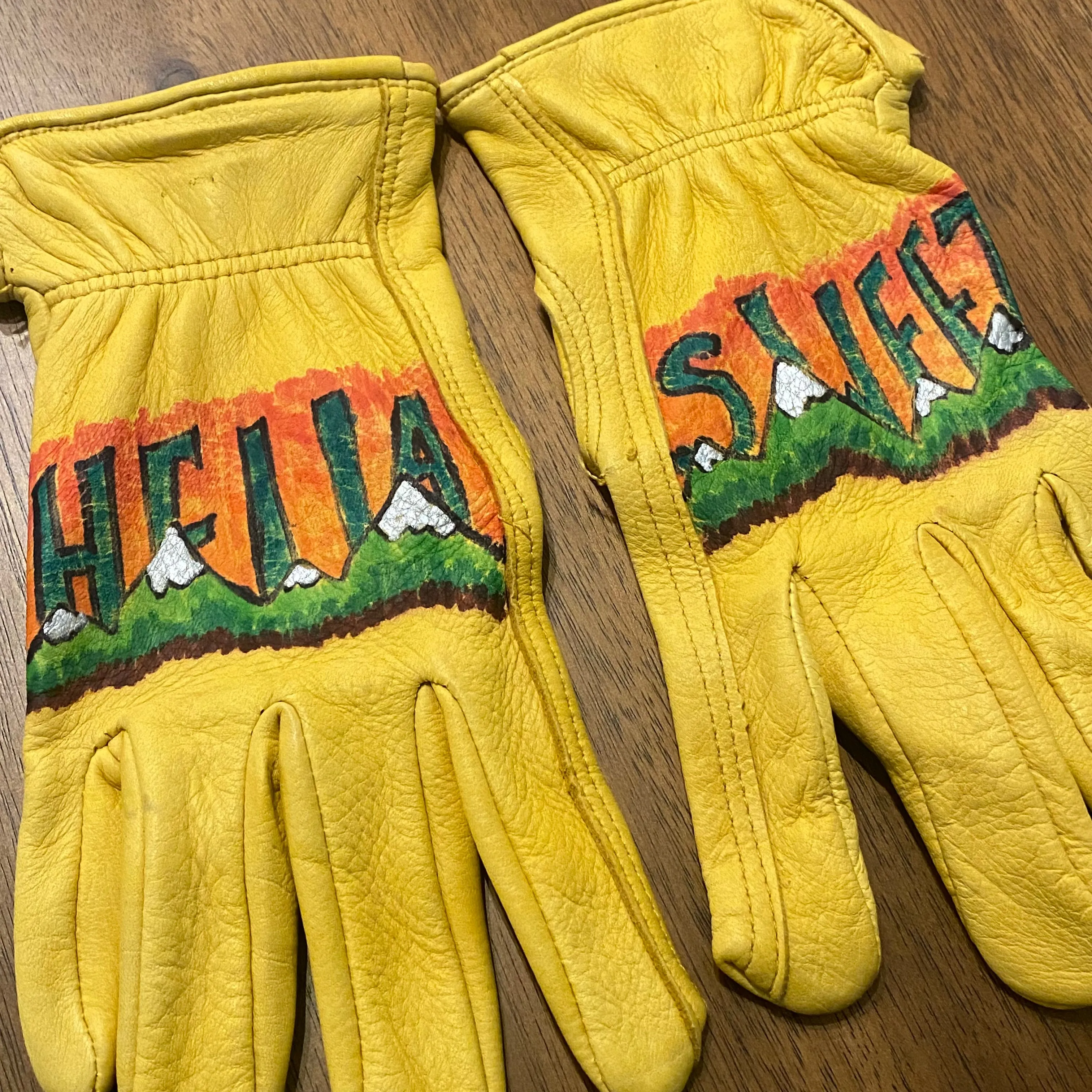 Barry Wicks Hella Sweet Hand Painted Gloves